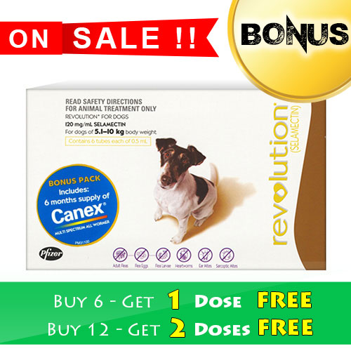 Revolution for Dogs Buy Revolution Flea Treatment Online Revolution