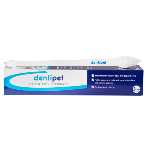 Dentipet Toothpaste For Dogs And Cats Beef Flavour (70 Gm) 1 Pack + 1 Pet Toothbrush Free
