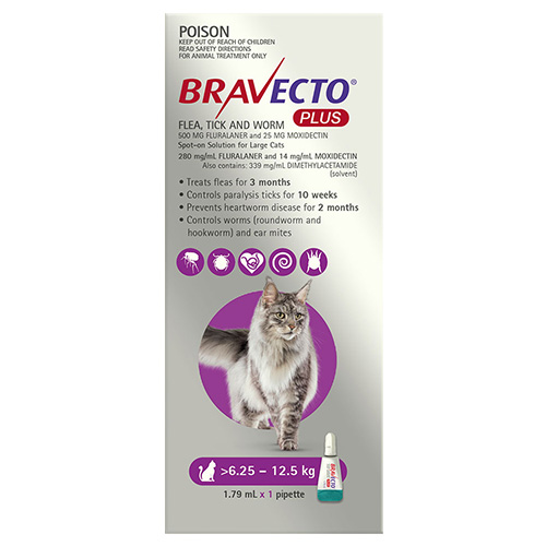 Bravecto Plus for Large Cats 6.25 – 12.5 kg (Purple)