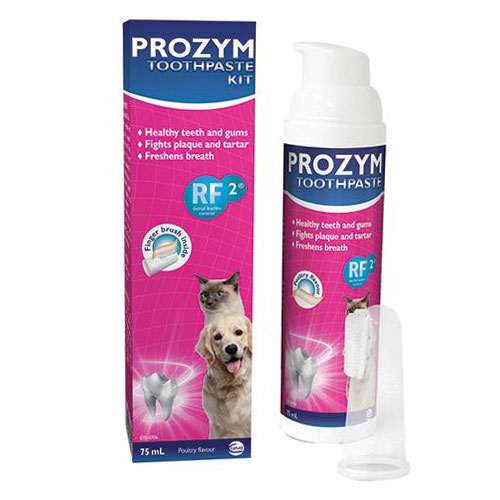 Prozym Dental Toothpaste Kit