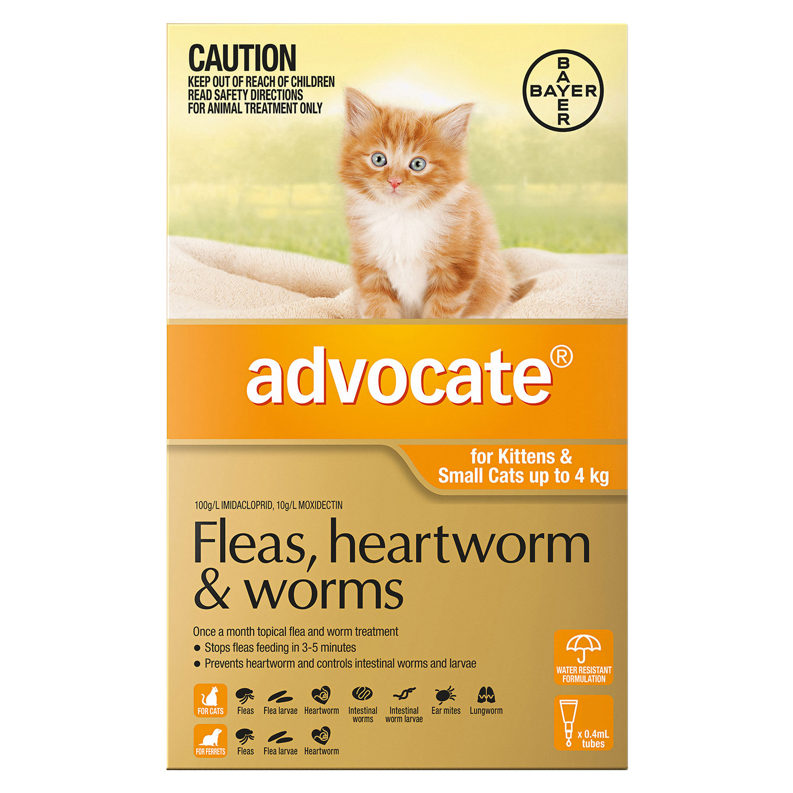 Advocate