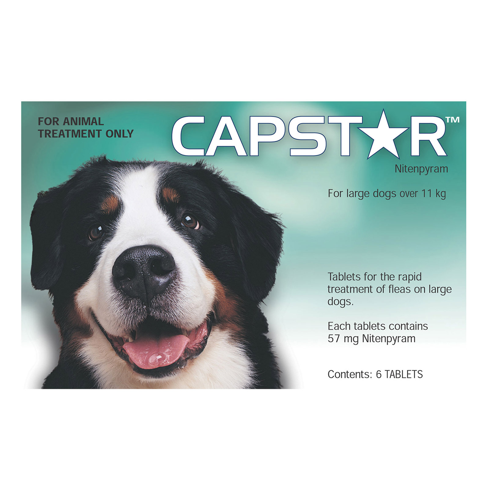 capstar for cats target