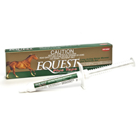 Equest Plus