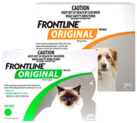 Frontline Original