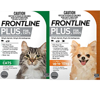 Frontline plus