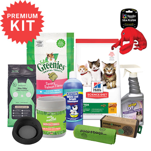 KITTEN STARTER PACK - PREMIUM