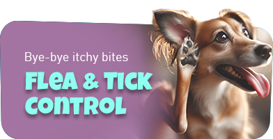 Flea and Tick Control