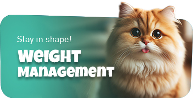 Weight Management