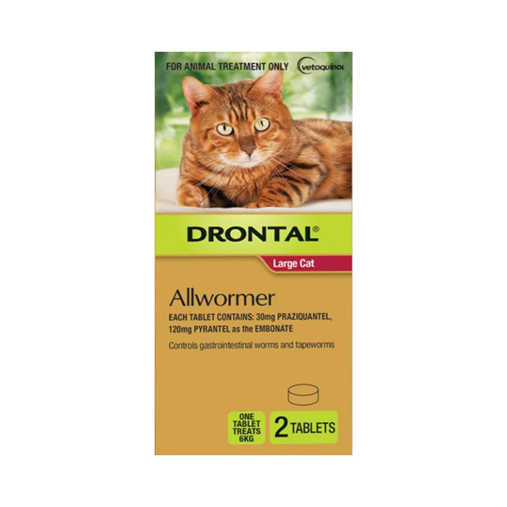 Buy Drontal Wormers For Large Cats 6Kg Online