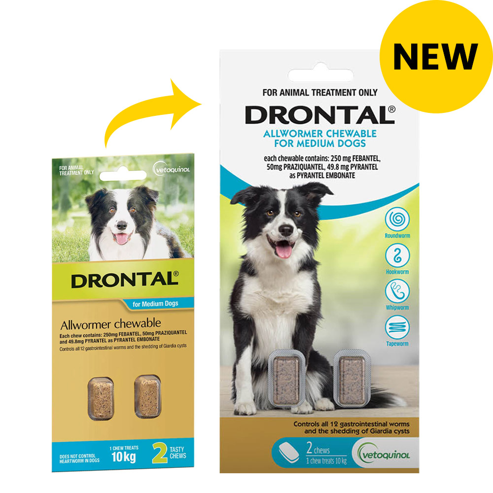 Buy Drontal Wormers Chewable For Dogs Up To 10Kg Aqua Online