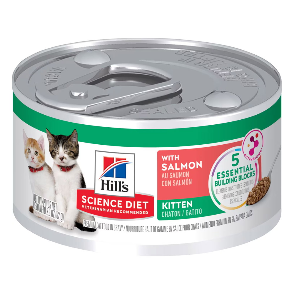 Buy Hill's Science Diet Kitten with Salmon Wet Cat Food 82gm 24 Cans Online