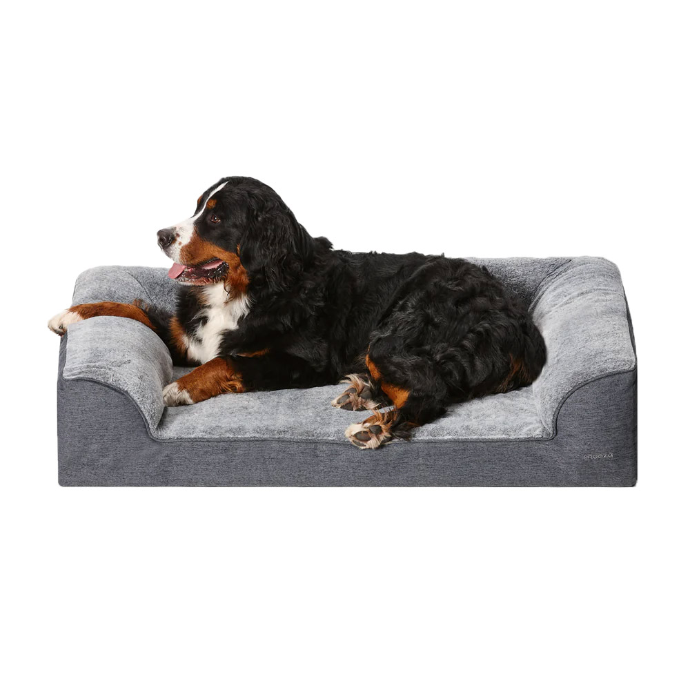 Buy Snooza Ortho Dream Sofa for Dogs Online