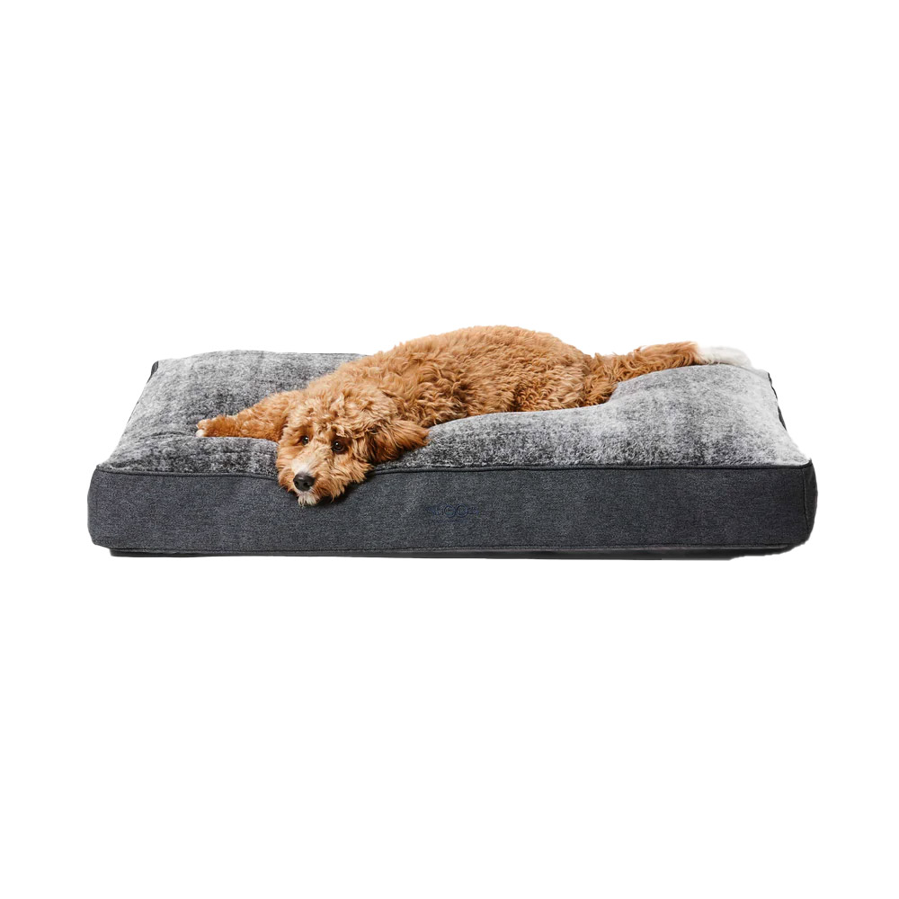 Buy Snooza Shapes Oblong Bed for Dogs Chinchilla Online