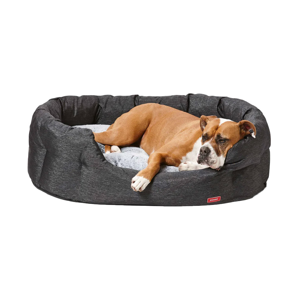 Buy Snooza The Supa Snooza Bed for Dogs Online