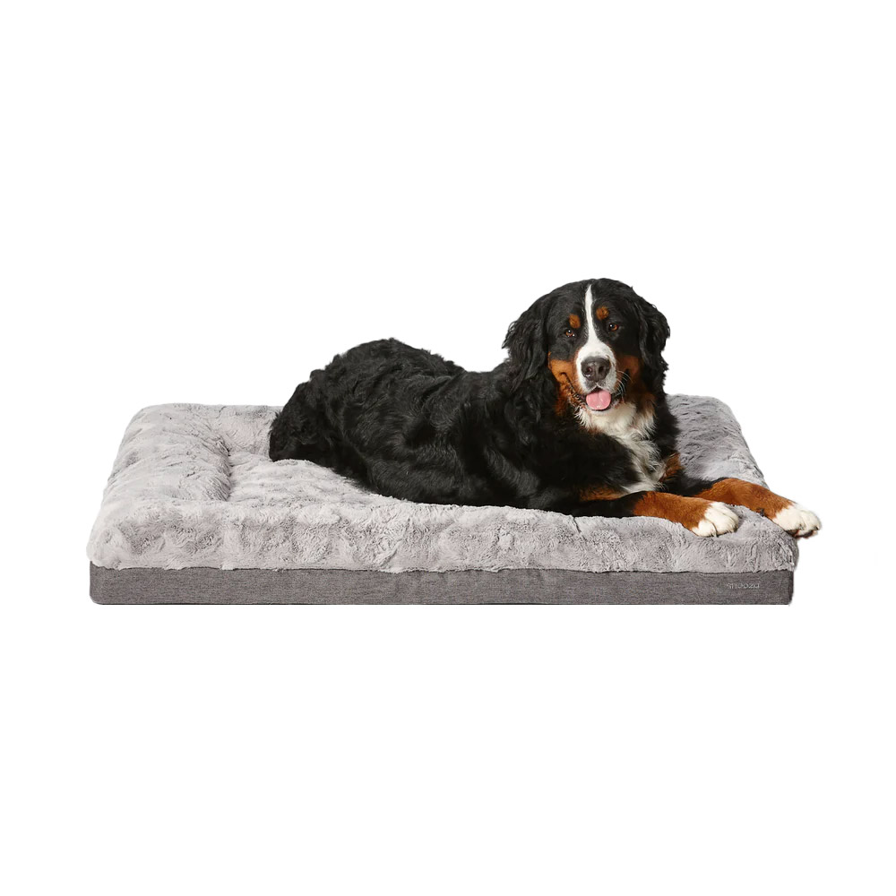Buy Snooza Ultra Comfort Lounge for Dogs 1 x XLarge Online