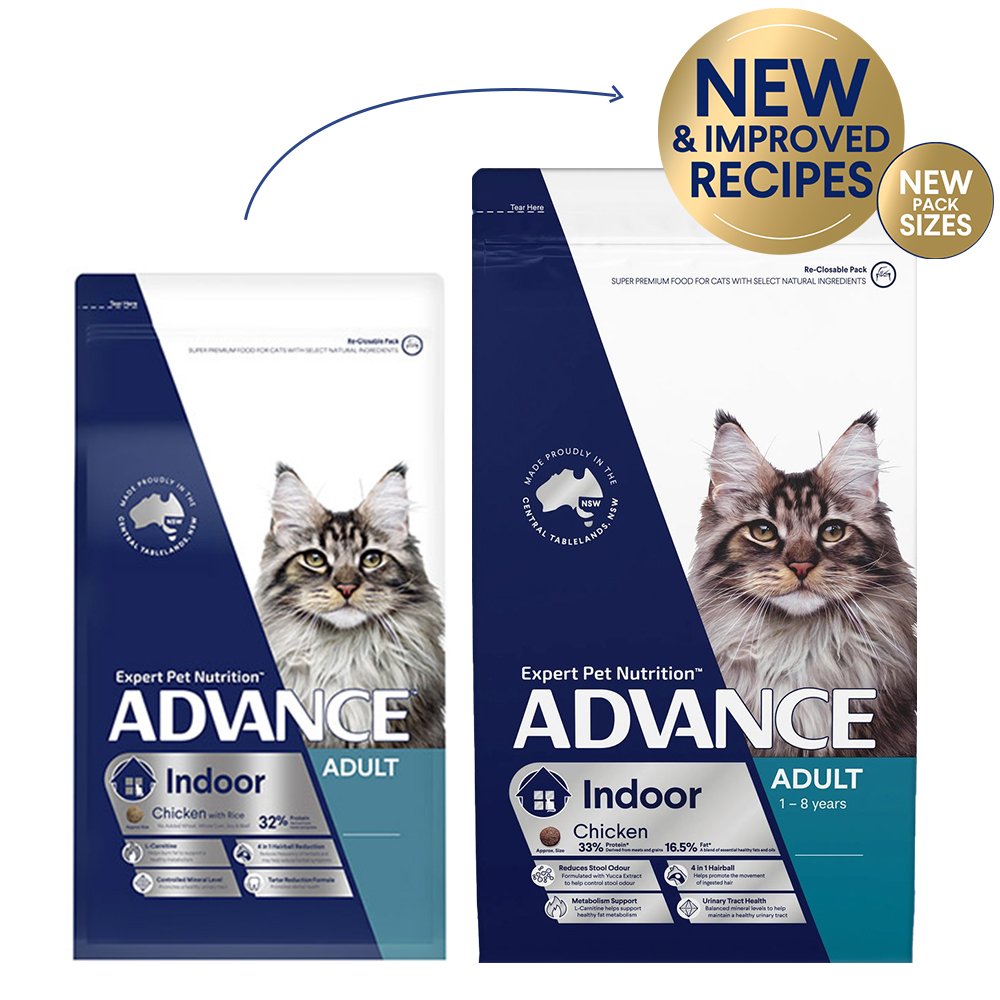 Indoor Adult Dry Cat Food