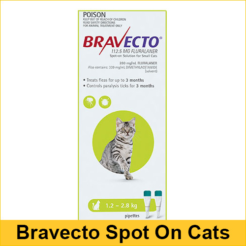 Bravecto spoton flea and tick treatment for cats Free Shipping