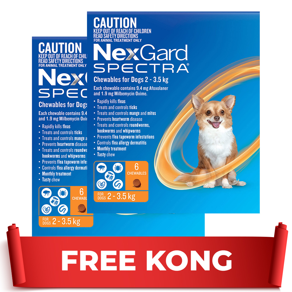 Nexguard Small Buy Nexgard Spectra Very Small Dogs (2 - 3.5kg) Orange 12 Pack + Free ...
