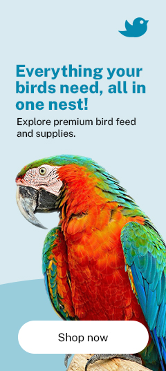 Bird Supplies
