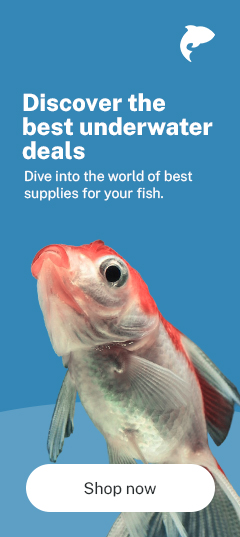 Fish Supplies