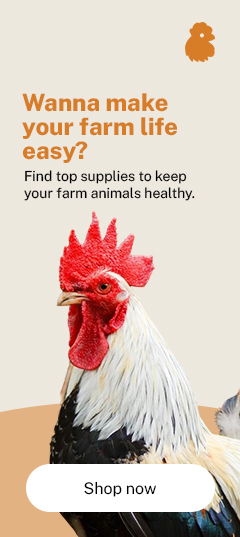 Farm Animals