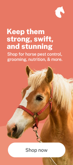 Horse Supplies