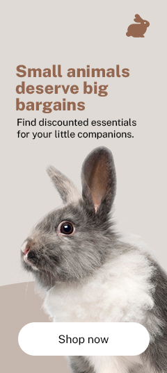 Small Animals