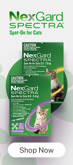 Cat Supplies