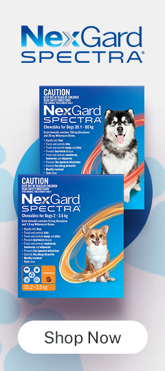 2 Dog Supplies