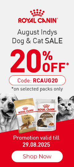 2 Dog Supplies
