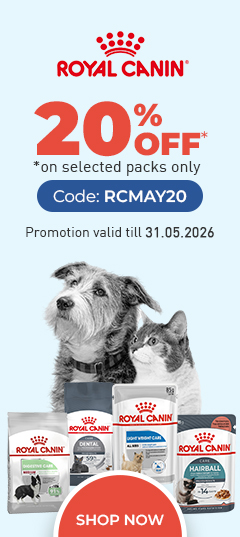 2 Dog Supplies