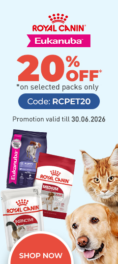 Cat Supplies